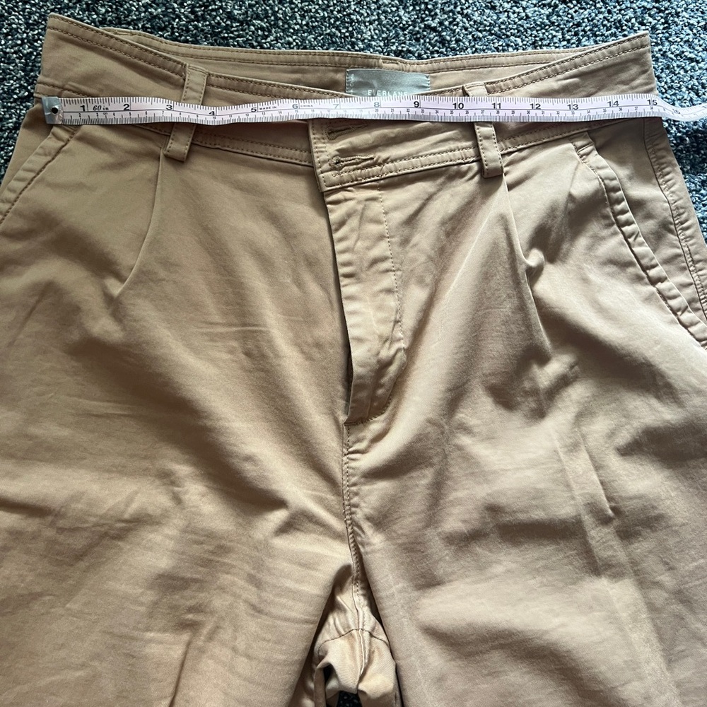 Everlane pleated chinos size 10 - Picture 3 of 5